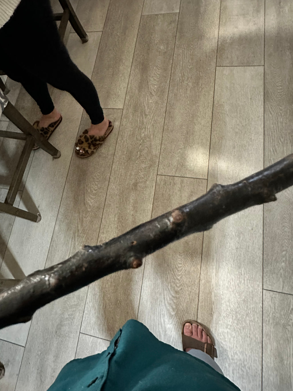 Antique 37" Irish Blackthorn Walking Stick! Gorgeous! Late 1800s - Early 1900s - Rare w/Tag!