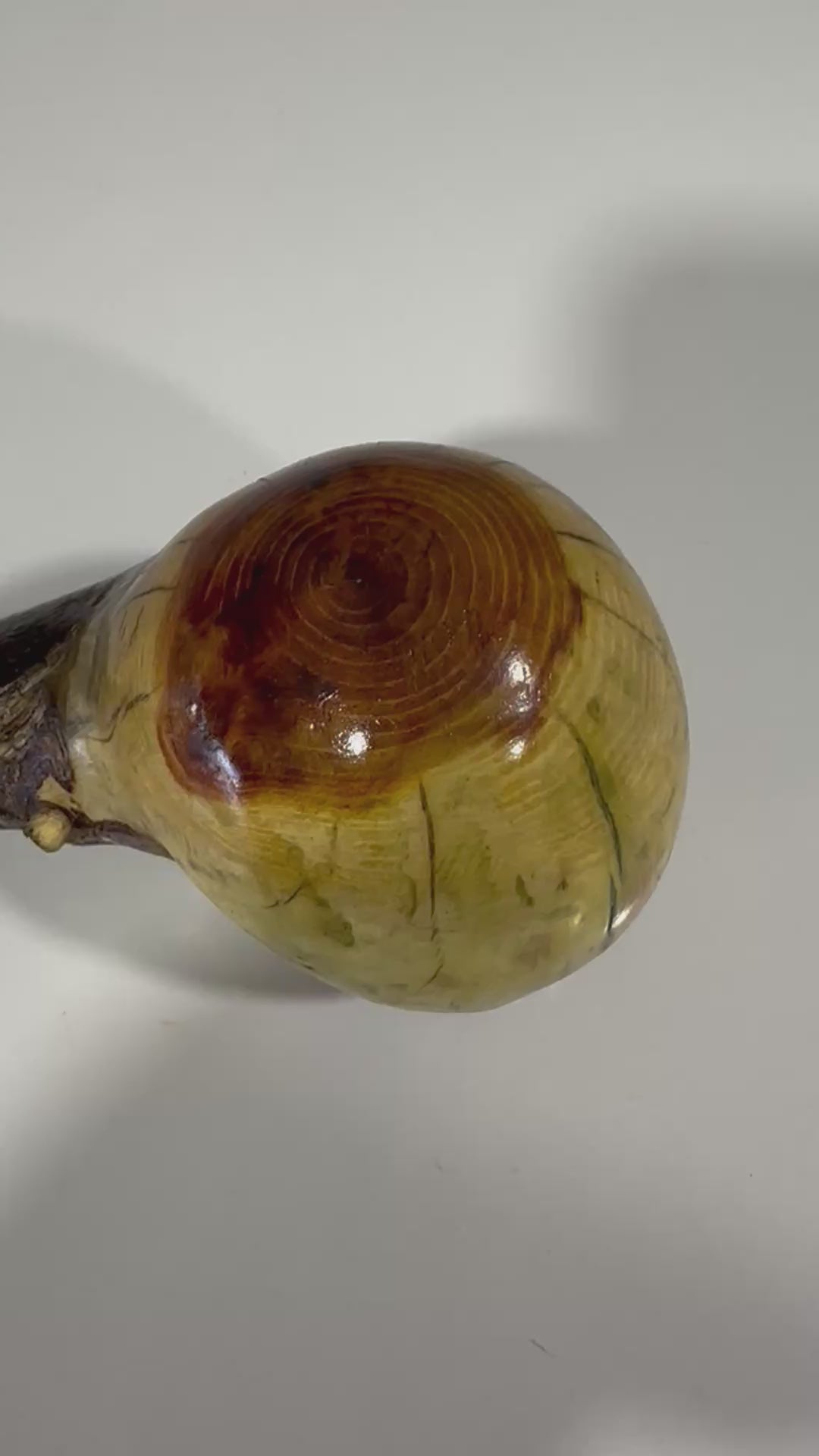 AH Shillelagh "Thunderbird" Walking Stick - Osage Orange - 40"